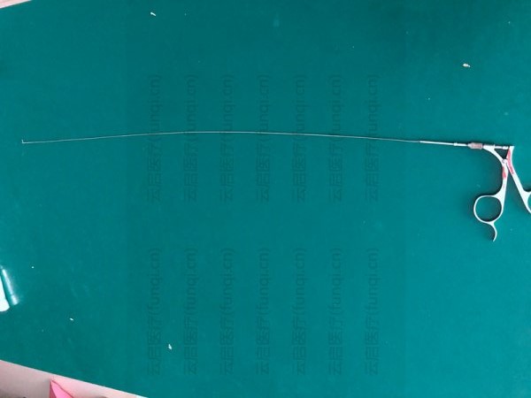 wolf  8952.611取卵钳   铆钉脱落