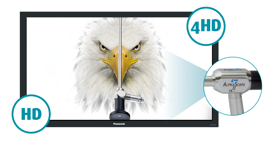 16389318175487.png 吉米技术3.png